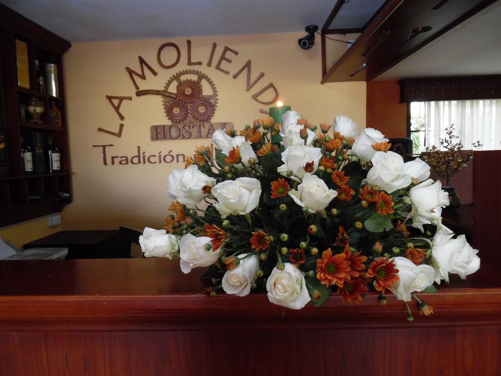 Hostal La Molienda بويو المظهر الخارجي الصورة